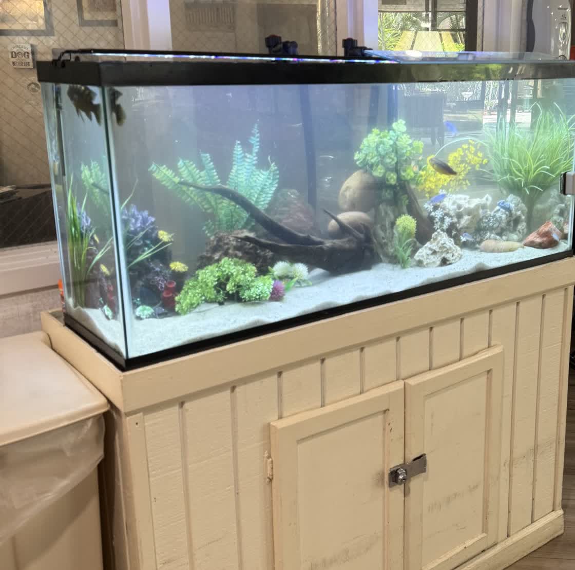 Planted 75-gallon freshwater aquarium in the activity and library room of a skilled nursing facility