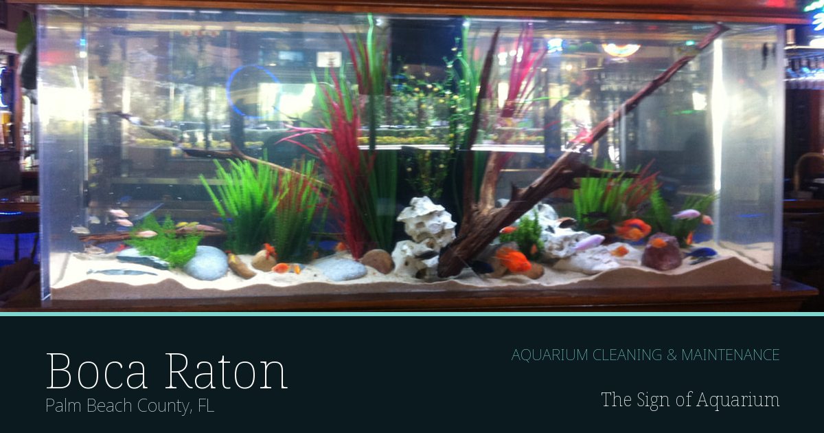 Freshwater aquarium serviced by The Sign of Aquarium in Boca Raton, Florida