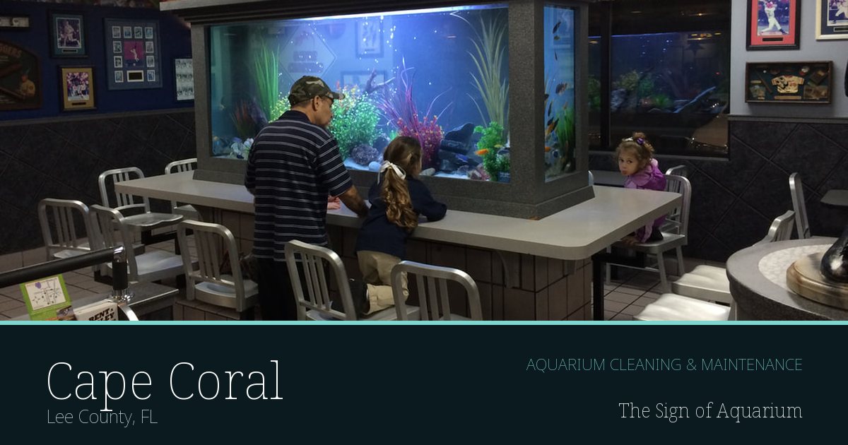 Freshwater aquarium serviced by The Sign of Aquarium in Cape Coral, Florida