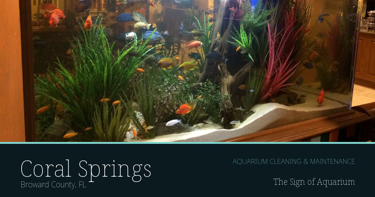 Freshwater aquarium serviced by The Sign of Aquarium in Coral Springs, Florida