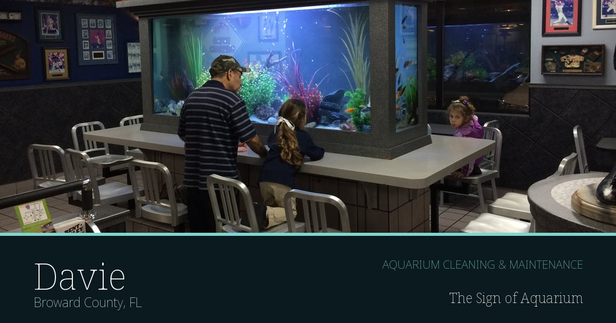 Freshwater aquarium serviced by The Sign of Aquarium in Davie, Florida