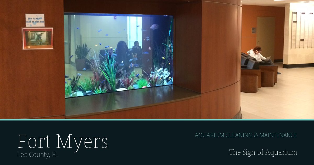 Freshwater aquarium serviced by The Sign of Aquarium in Fort Myers, Florida