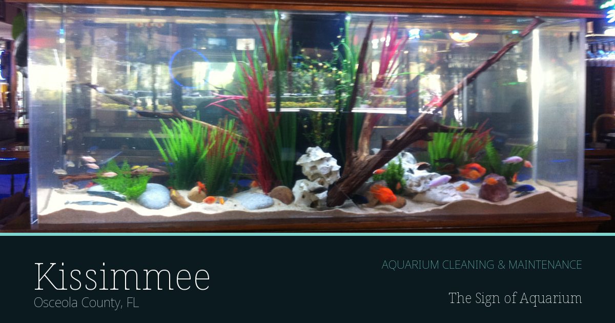 Freshwater aquarium serviced by The Sign of Aquarium in Kissimmee, Florida