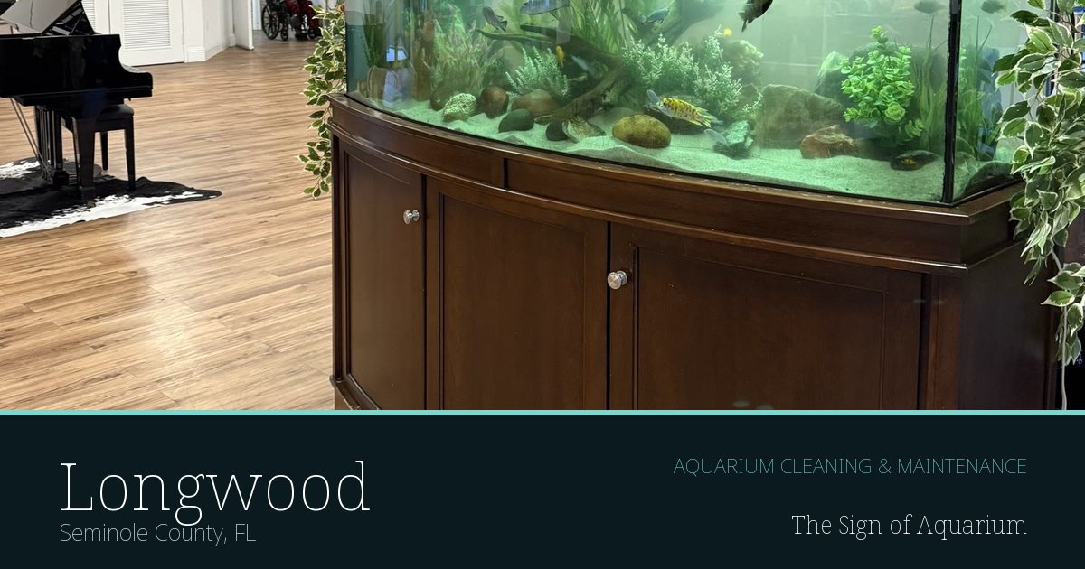 Freshwater aquarium serviced by The Sign of Aquarium in Longwood, Florida