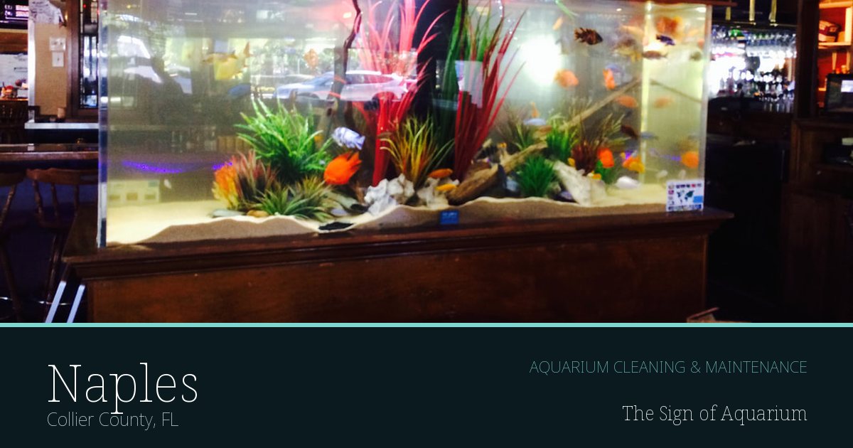 Freshwater aquarium serviced by The Sign of Aquarium in Naples, Florida