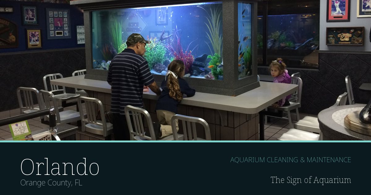 Freshwater aquarium serviced by The Sign of Aquarium in Orlando, Florida