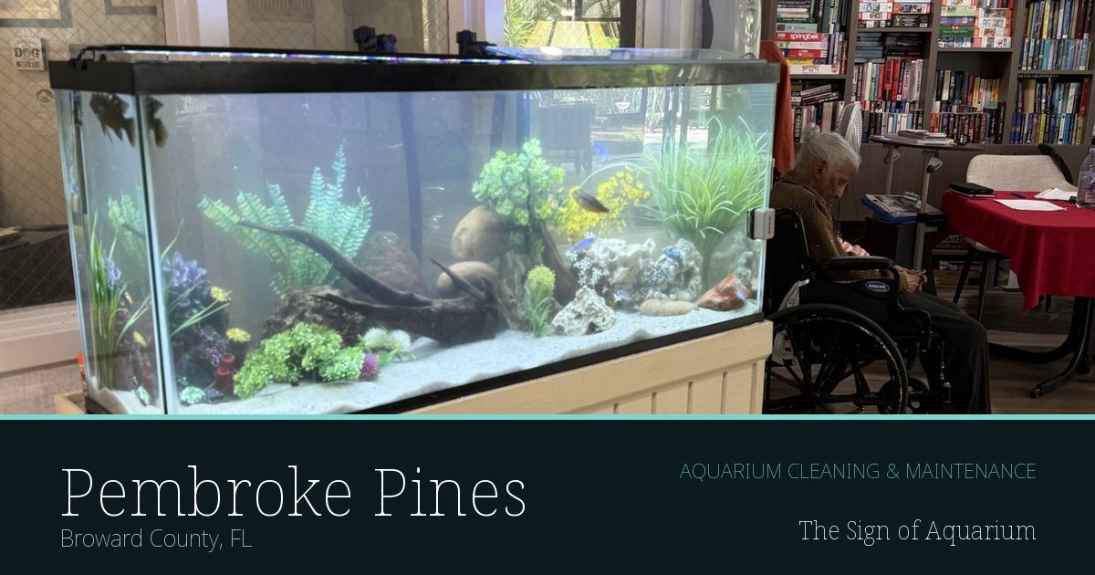 Freshwater aquarium serviced by The Sign of Aquarium in Pembroke Pines, Florida