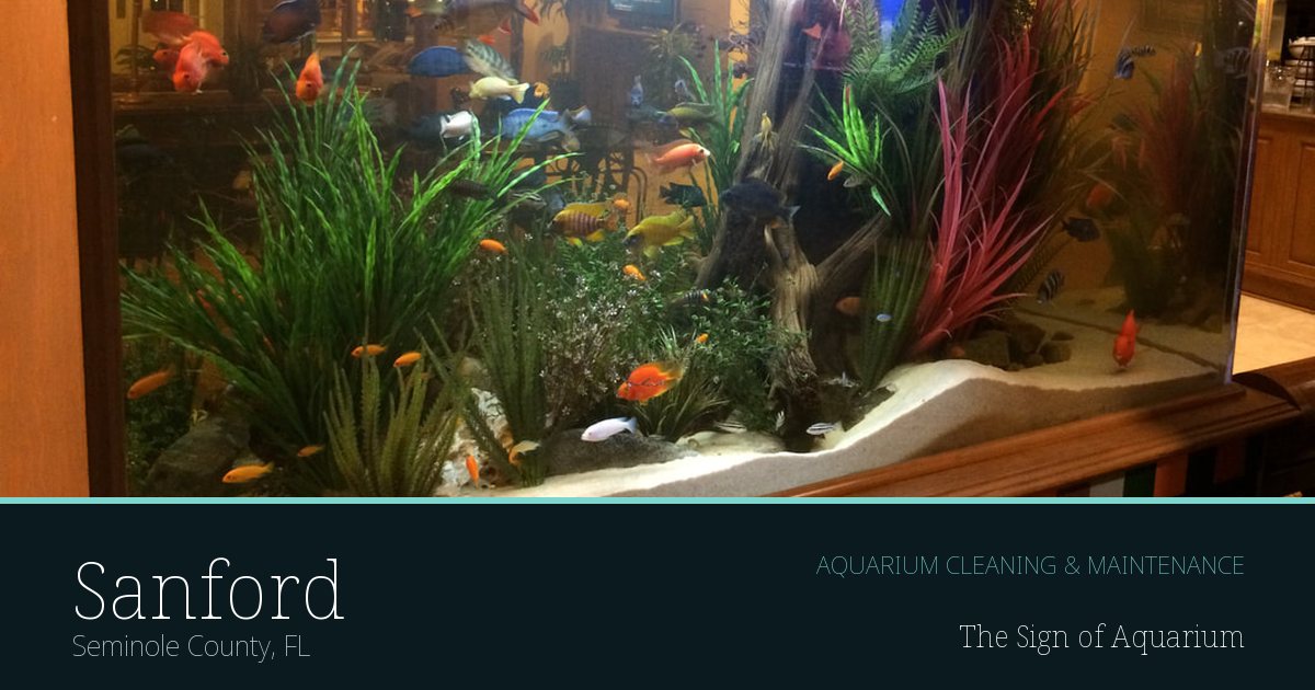 Freshwater aquarium serviced by The Sign of Aquarium in Sanford, Florida