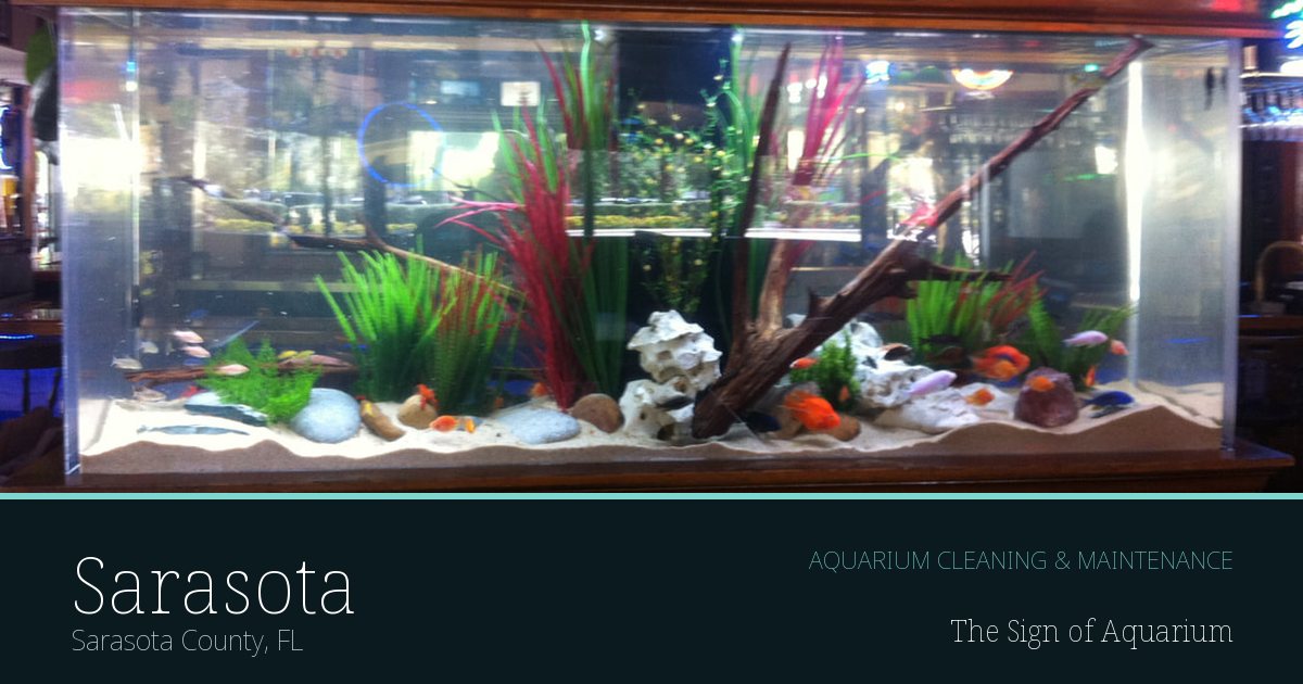 Freshwater aquarium serviced by The Sign of Aquarium in Sarasota, Florida