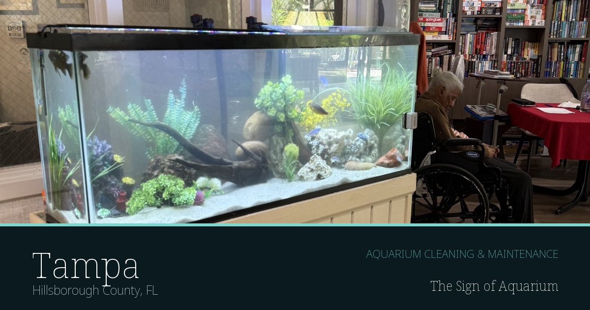 Freshwater aquarium serviced by The Sign of Aquarium in Tampa, Florida