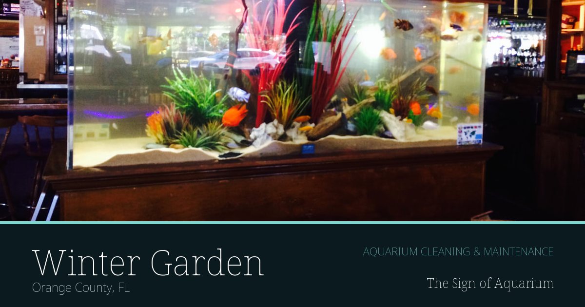 Freshwater aquarium serviced by The Sign of Aquarium in Winter Garden, Florida